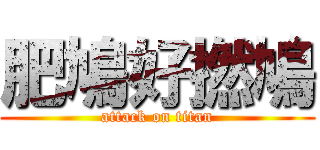 肥鳩好撚鳩 (attack on titan)