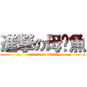 進撃の母啦魚 (attack on titan)