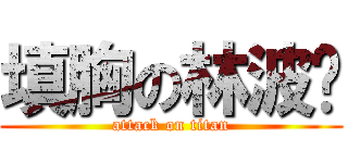 填胸の林波丽 (attack on titan)