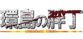 環島の胖丁 (attack on titan)