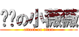 亲爱の小薇薇 (attack on titan)