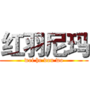 红羽尼玛 (wei he dou wo)