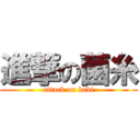 進撃の菌糸 (attack on kabi)