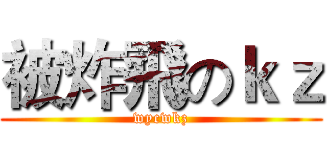 被炸飛のｋｚ (wycwkz)