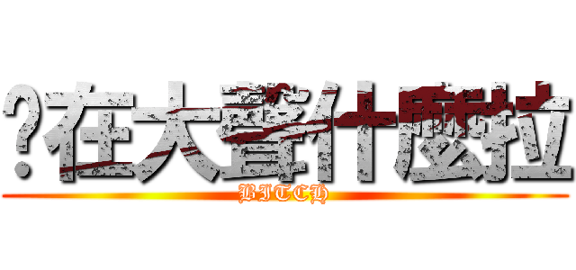 你在大聲什麼拉 (BITCH)