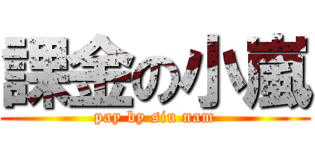 課金の小嵐 (pay by siu nam)