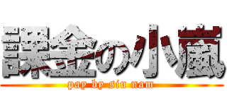 課金の小嵐 (pay by siu nam)