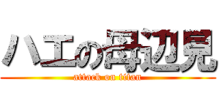 ハエの母辺見 (attack on titan)