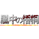 風中の梧桐 (wotong & lin)