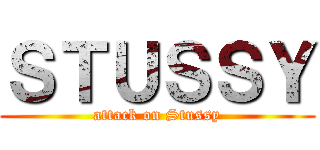 ＳＴＵＳＳＹ (attack on Stussy)