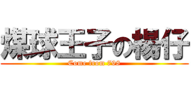 煤球王子の楊仔 (Come from 798)
