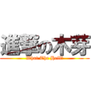 進撃の木芽 (What The Hell?)