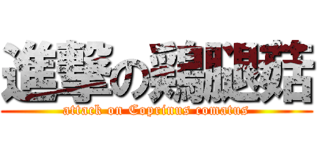 進撃の鶏腿菇 (attack on Coprinus comatus)