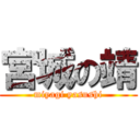 宮城の靖 (miyagi yasushi)