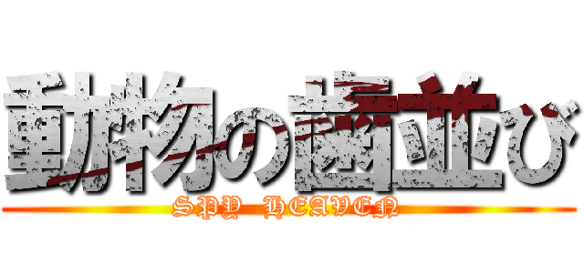 動物の歯並び (SPY  HEAVEN)