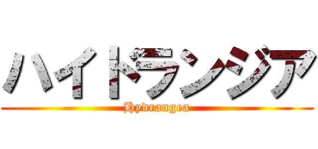 ハイドランジア (Hydrangea)