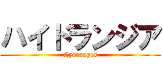 ハイドランジア (Hydrangea)