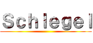 Ｓｃｈｌｅｇｅｌ ()