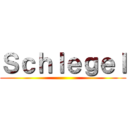 Ｓｃｈｌｅｇｅｌ ()