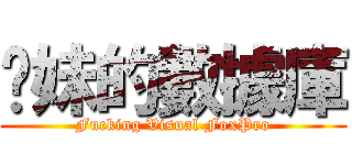 伱妹的數據庫 (Fucking Visual FoxPro)