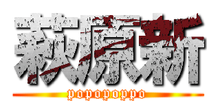 萩原新 (popopoppo)
