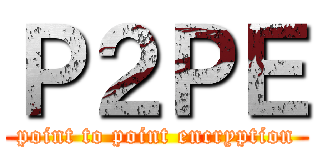 Ｐ２ＰＥ (point to point encryption)