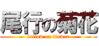 尾行の菊花 (follow on flower)