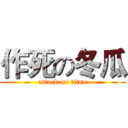 作死の冬瓜 (attack on titan)