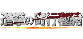 進撃の奇行種豬 (attack on sibeh pig)