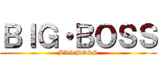 ＢＩＧ・ＢＯＳＳ (BIG・BOSS)