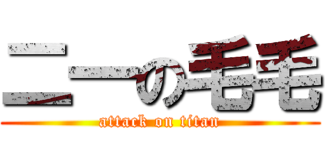 二一の毛毛 (attack on titan)