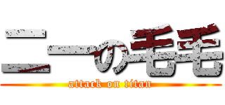 二一の毛毛 (attack on titan)