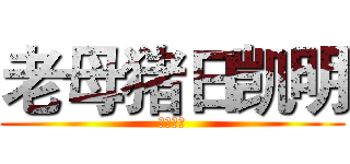 老母猪日凯明 (日日日日)