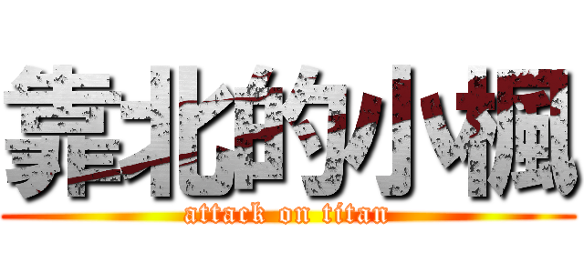 靠北的小楓 (attack on titan)