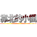 靠北的小楓 (attack on titan)