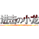 进击の小龙 (attack on xiaolong)