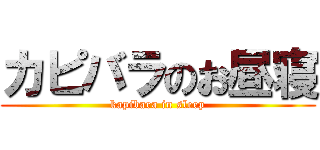 カピバラのお昼寝 (kapibara in sleep)