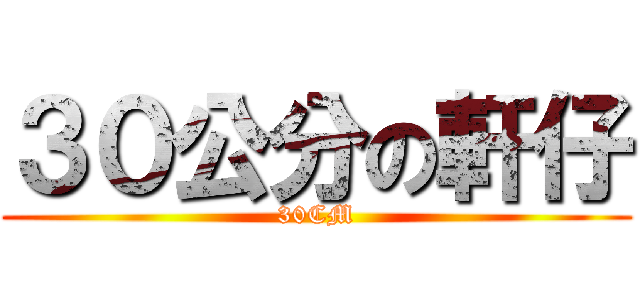 ３０公分の軒仔 (30CM)