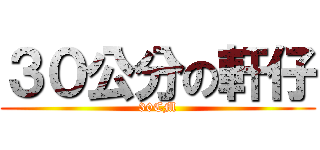 ３０公分の軒仔 (30CM)