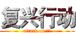 复兴行动 (attack on 复兴)