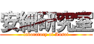 安細研究室 (laboratory of Ansai)