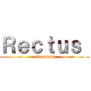 Ｒｅｃｔｕｓ  (abdominis)