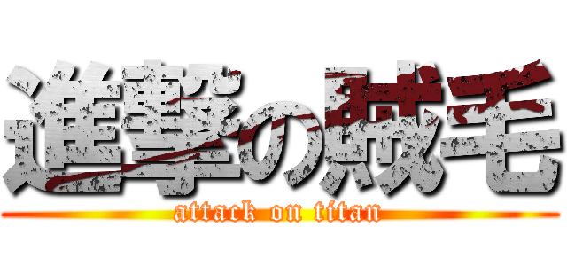 進撃の賊毛 (attack on titan)