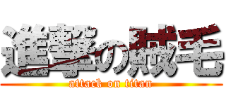 進撃の賊毛 (attack on titan)