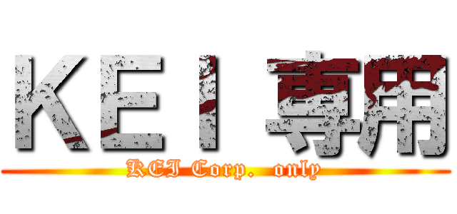 ＫＥＩ 専用 (KEI Corp.  only)