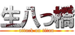 生八つ橋 (attack on titan)