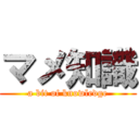 マメ知識 (a bit of knowledge)