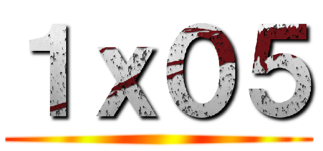 １ｘ０５ ()