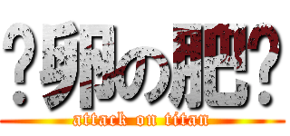 缩卵の肥兰 (attack on titan)