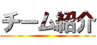チーム紹介 ()